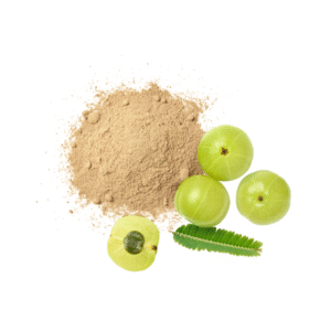 Amla Powder