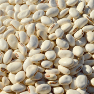 Jack fruit seeds