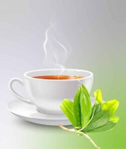 Thebu Leaf TEA ( Insulin Tea ) - Image 5