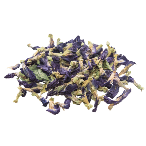 Blue Butterfly Pea - Image 3