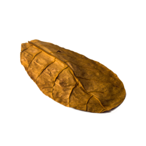 Dried Almond/Kottan/Kottamba Leaves