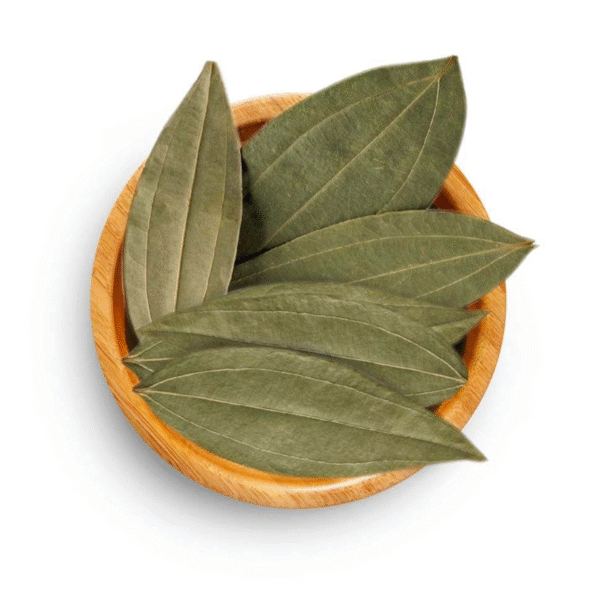 Cinnamon Leaves - Image 3