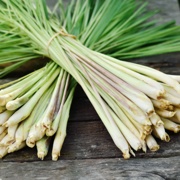 Lemongrass Powder - Image 3