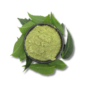 Neem Powder