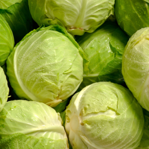 Cabbage