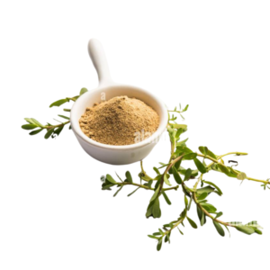 lunuwila Powder - Image 4