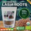 Lasia Roots