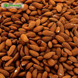 Almonds Nuts - 250g - Image 5