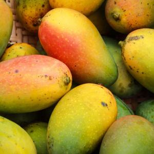 Dehydrated Mango Slices/විජලනය කල අඹ - Image 3