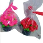 මල් වාස්/Flower buckets