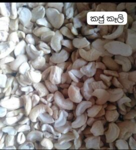 Fresh cashew/අමු කජු - 1Kg - Image 3