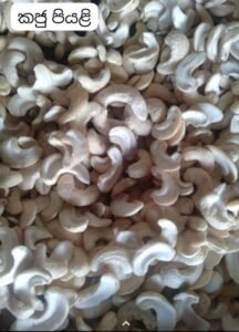 Fresh cashew/අමු කජු - 1Kg - Image 2