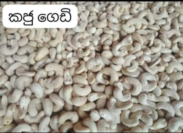 Fresh cashew/අමු කජු - 1Kg