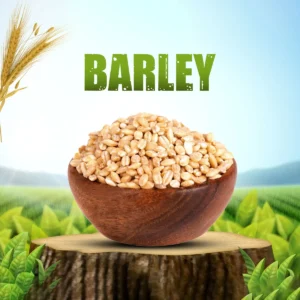 Catch Barley - 250.00 g - Image 2