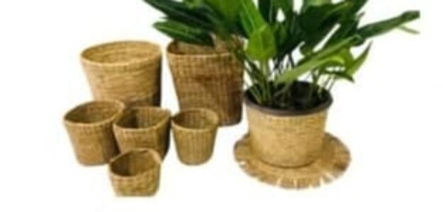 Hansi products