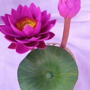 Lotus /ලෝටස්