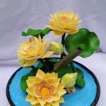 Lotus mini pond /ලෝටස් මිනි පොන්ඩ්
