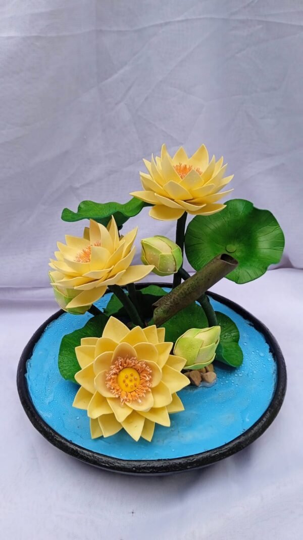 Lotus mini pond /ලෝටස් මිනි පොන්ඩ්