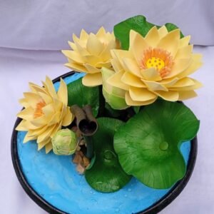 Lotus mini pond /ලෝටස් මිනි පොන්ඩ්