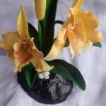 Orchids flowers /ඕකිඩ් මල්