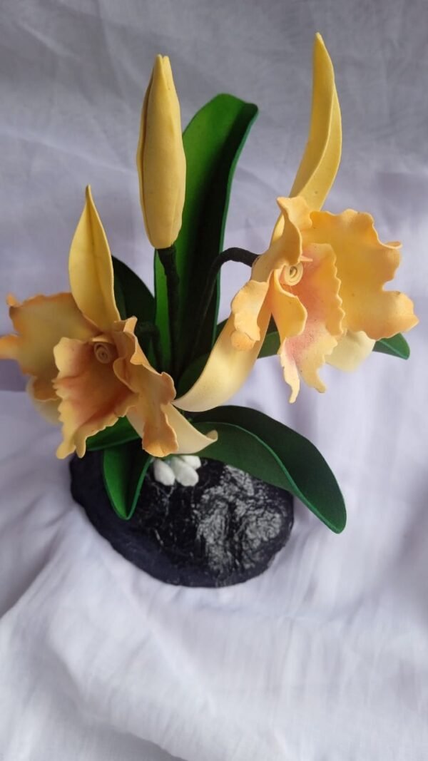 Orchids flowers /ඕකිඩ් මල්