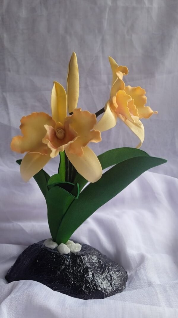 Orchids flowers /ඕකිඩ් මල් - Image 2