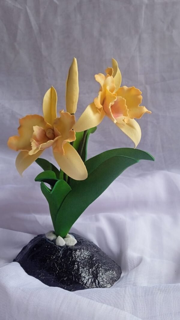 Orchids flowers /ඕකිඩ් මල් - Image 3
