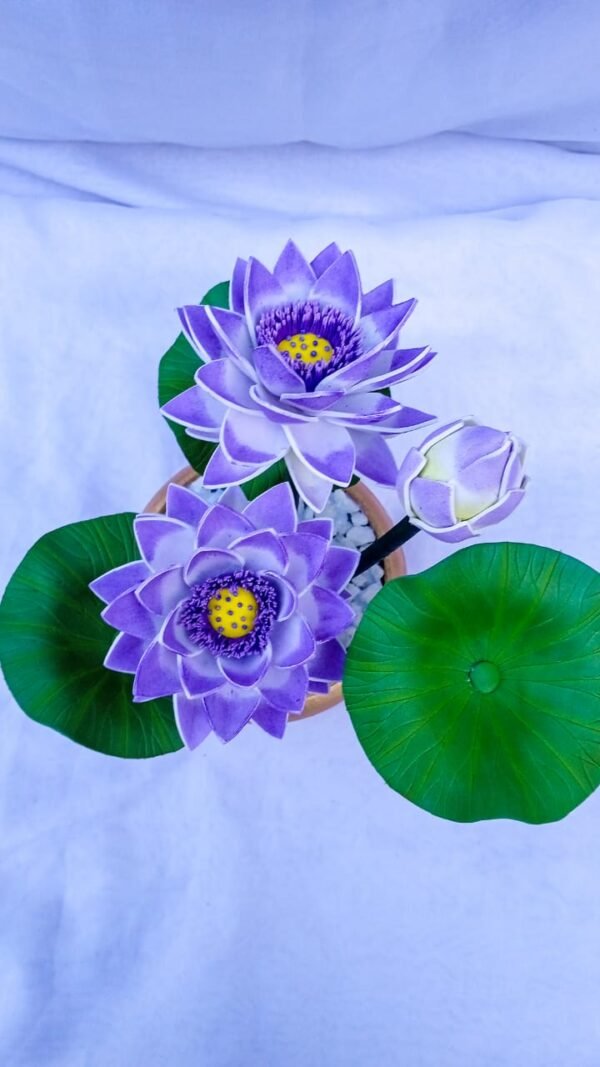Lotus /ලෝටස්