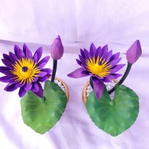 Manel 2 pots/මානෙල්