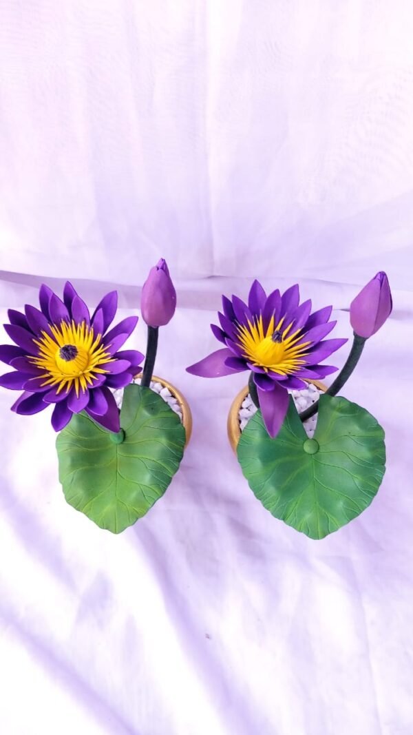 Manel 2 pots/මානෙල් - Image 2