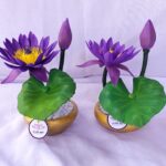 Manel 2 pots/මානෙල්
