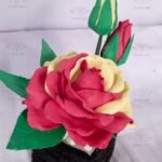 Rose flower/රෝස මල්