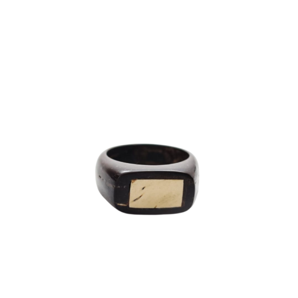 Coconut Shell Men's Ring