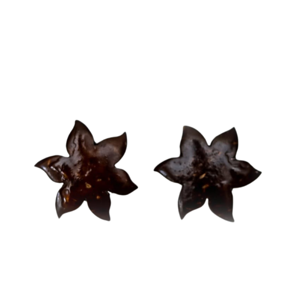 Coconut Shell Earing