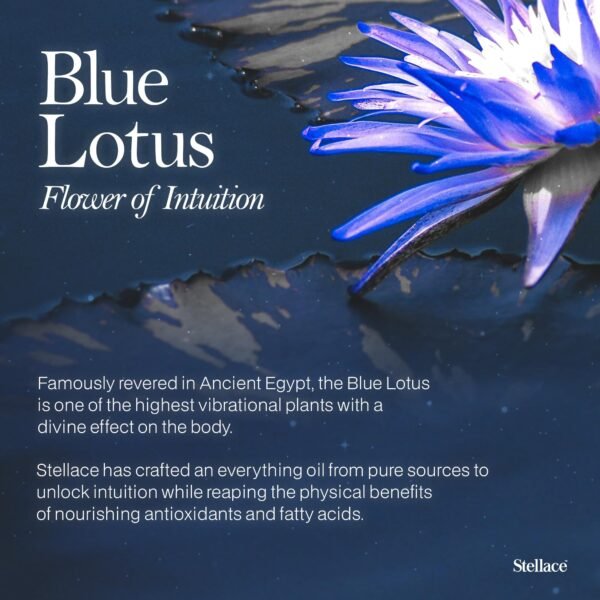Ranwage Dried Blue Lotus Egyptian Water Lily Whole 100g - Image 3