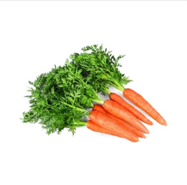 Carrot Powder - Image 2