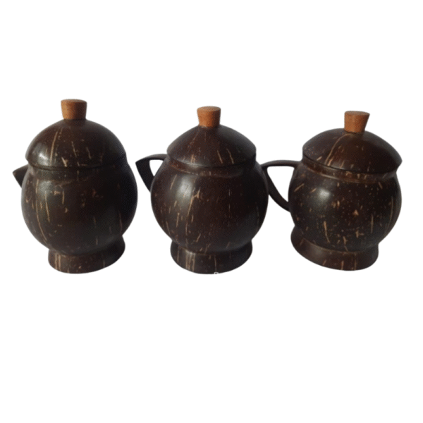 Coconut Shell Spices Containers - 1 Container