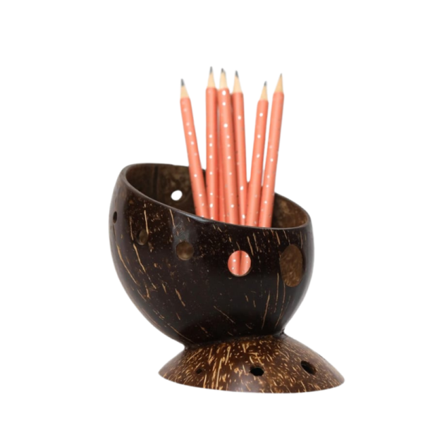 Coconut Shell Pen Holder