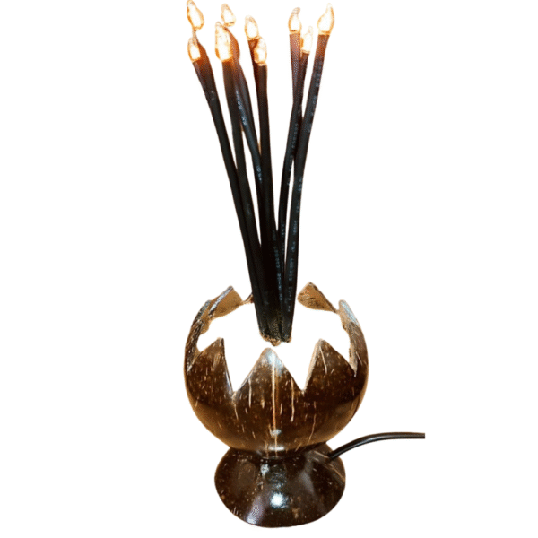 Coconut Shell Incense Sticks Holder