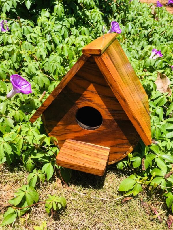 BIRD NEST/කුරුලු කූඩු - Image 3