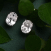 Orginal palingu silver earring
