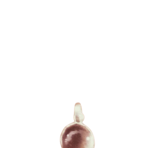 Orginal palingu silver pendent