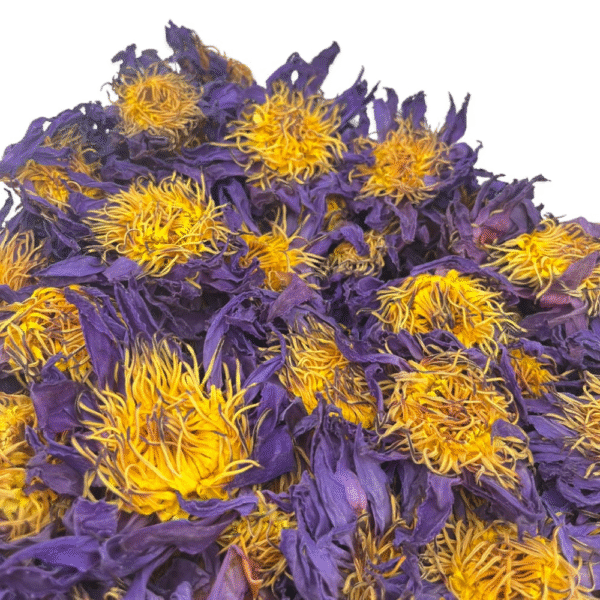 Dehydrated Blue Lotus | Egyptian Lotus | Nymphaea caerulea – 1 Kilo - Free Delivery - Image 2