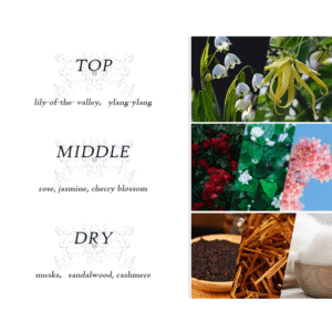 Dear Body Winter Tale Perfume - 30ml