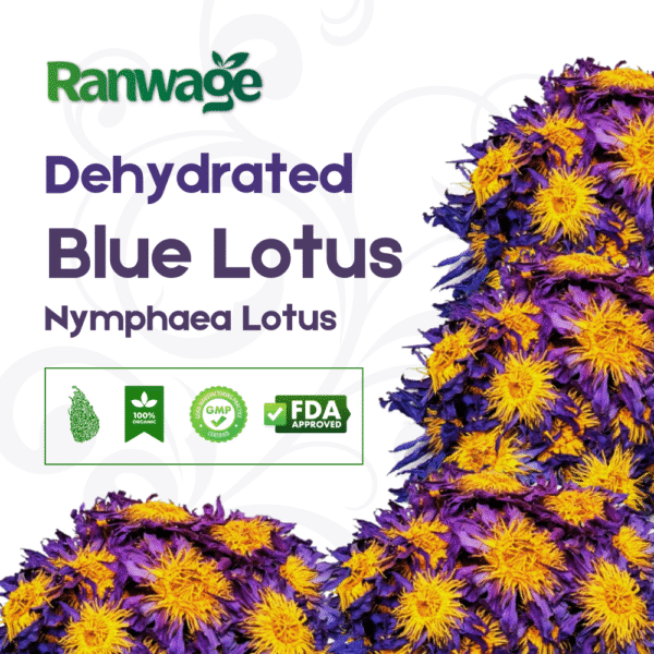 Dehydrated Blue Lotus | Egyptian Lotus | Nymphaea caerulea – 1 Kilo - Free Delivery